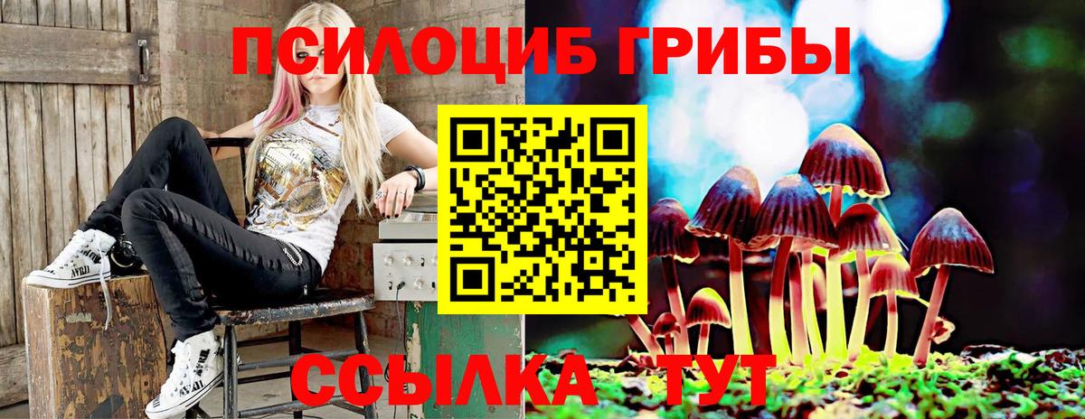 Галлюциногенные грибы Cubensis  Галлюциногенные грибы MAGIC MUSHROOMS  Вход с VPN  Выборг 