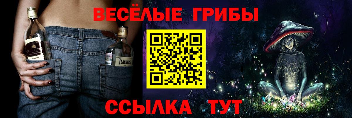 Галлюциногенные грибы Psilocybe Выборг